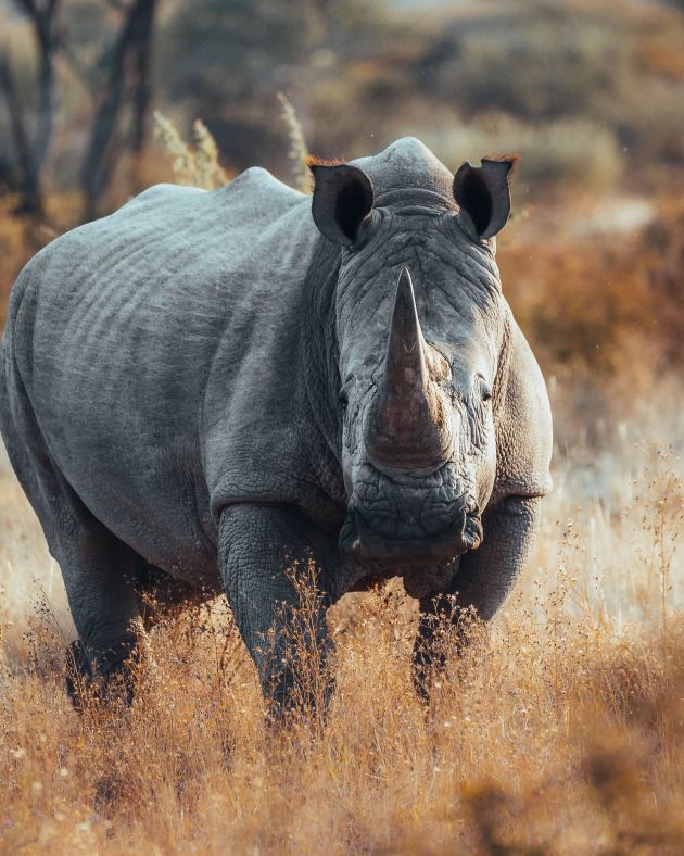 divine namibia  photos