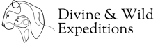 Divine Namibia