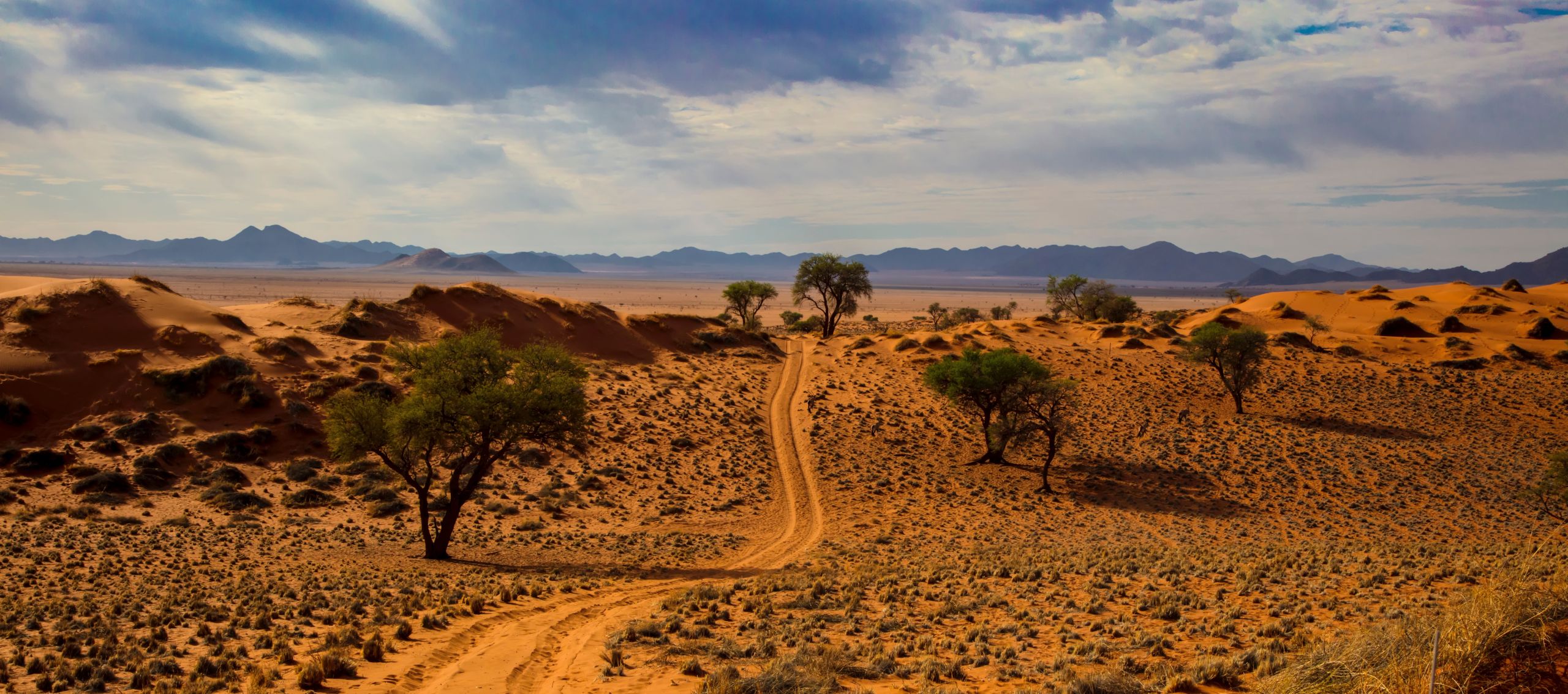 namibia desert