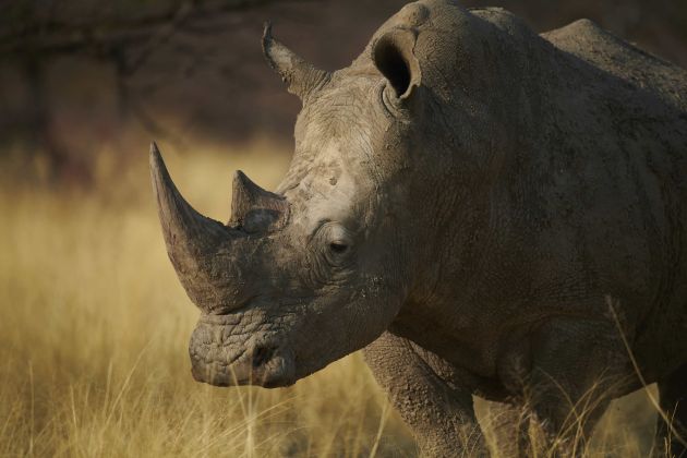divine namibia  photos