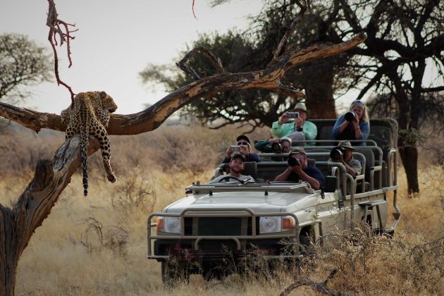 divine namibia  photos