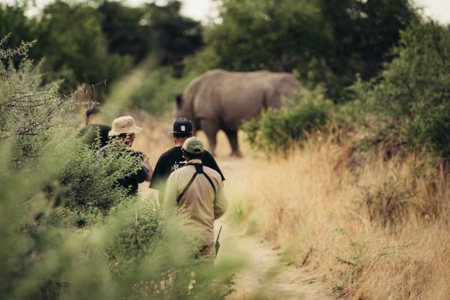 divine namibia  photos