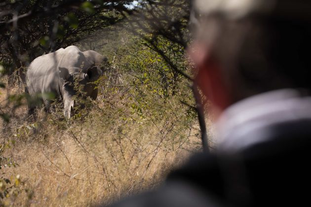 divine namibia  photos