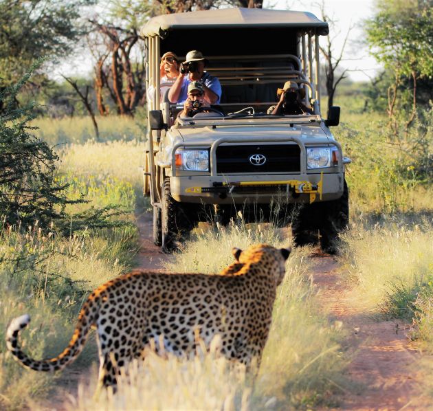 divine namibia  photos