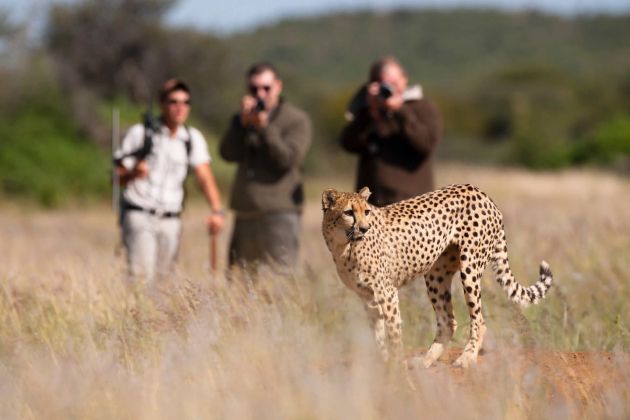 divine namibia  photos