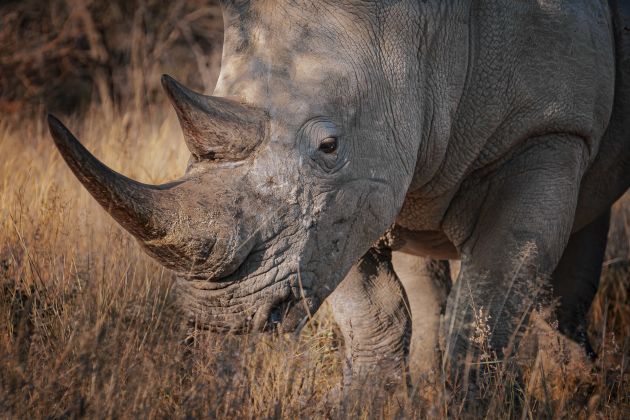 divine namibia  photos