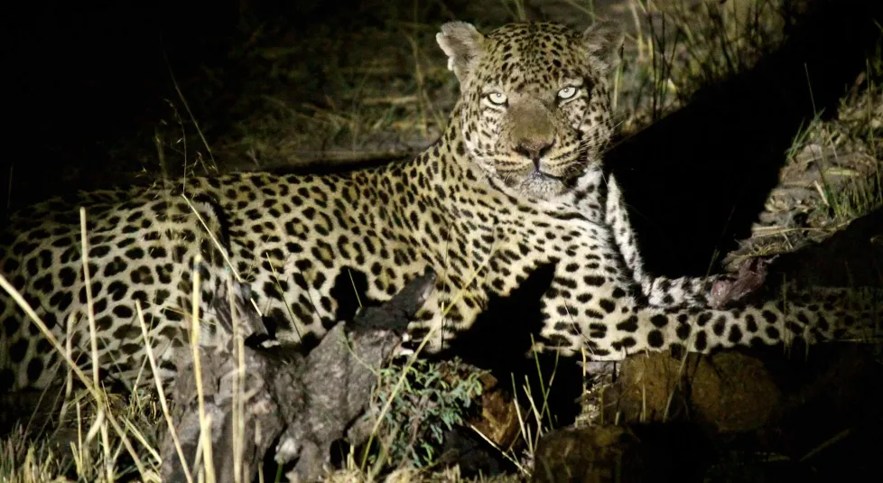 Nambwa Tented Lodge